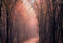 完美体育官网：[亚冬会]哈尔滨亚冬会组委会通报赛事筹备情况.