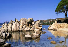 [亚冬会]高亭宇夺得速度滑冰男子500米金牌.